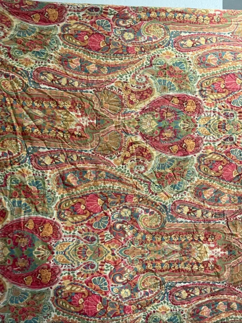 Pottery Barn Rosalie Warm Paisley king Duvet Cover Plus one EURO Sham